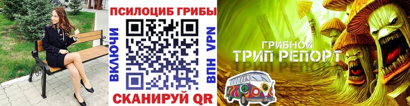 Псилоцибиновые грибы MAGIC MUSHROOMS  купить наркотик  Гремячинск 