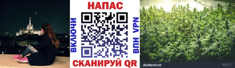 Канабис конопля  Гремячинск 